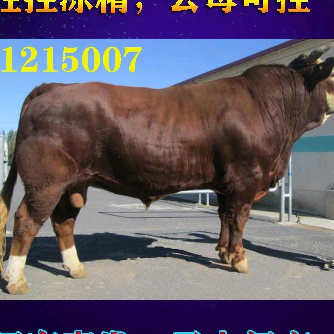 用户194886584孤军奋战