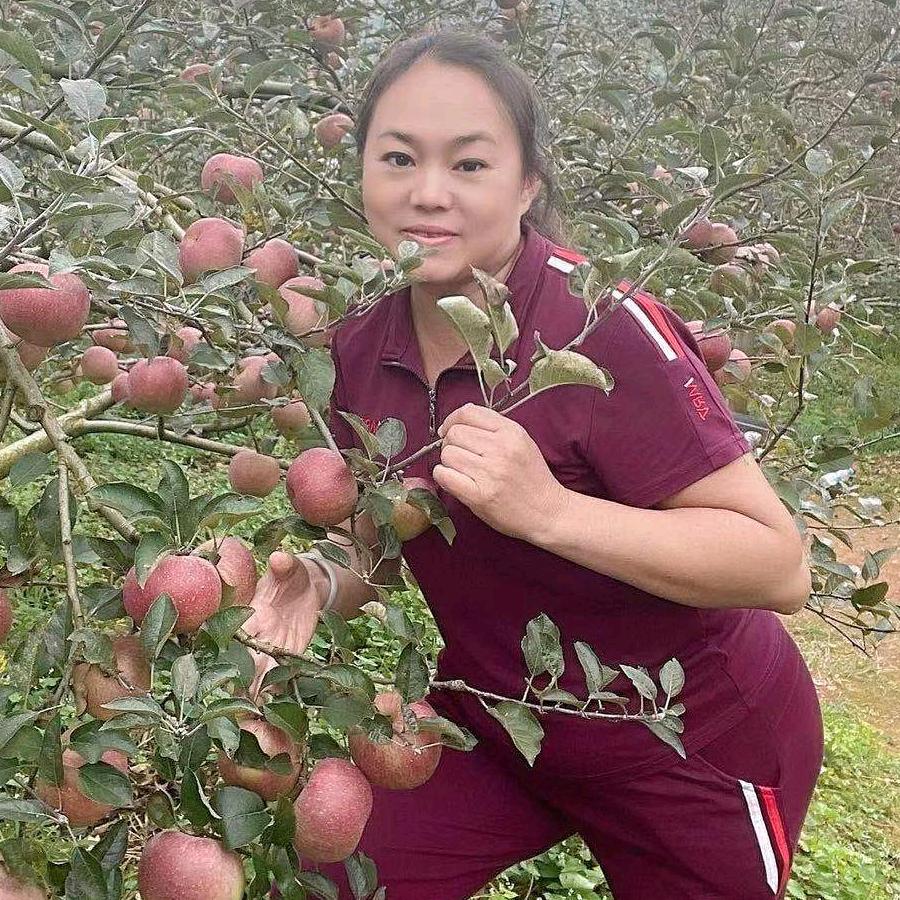 阳光灿烂