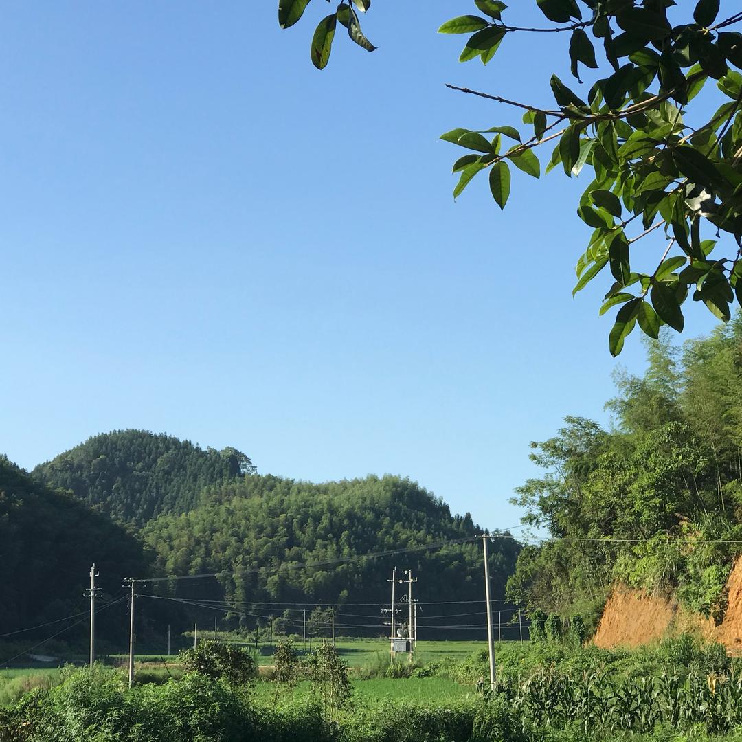 花都求知书店