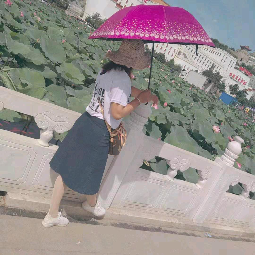 寂寞暖阳