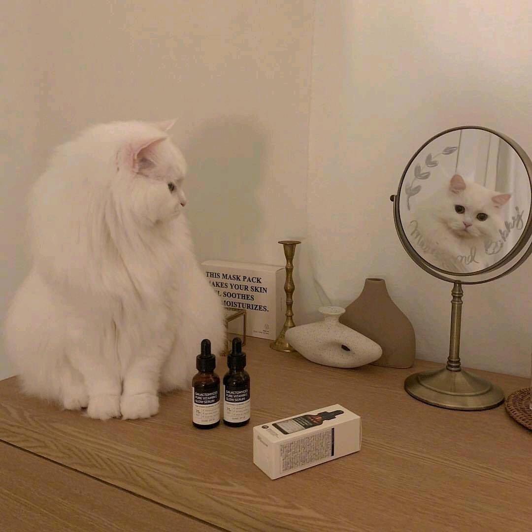 阿颜💫