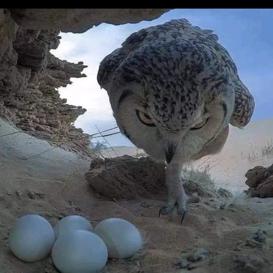 债主太多不方便透漏姓名