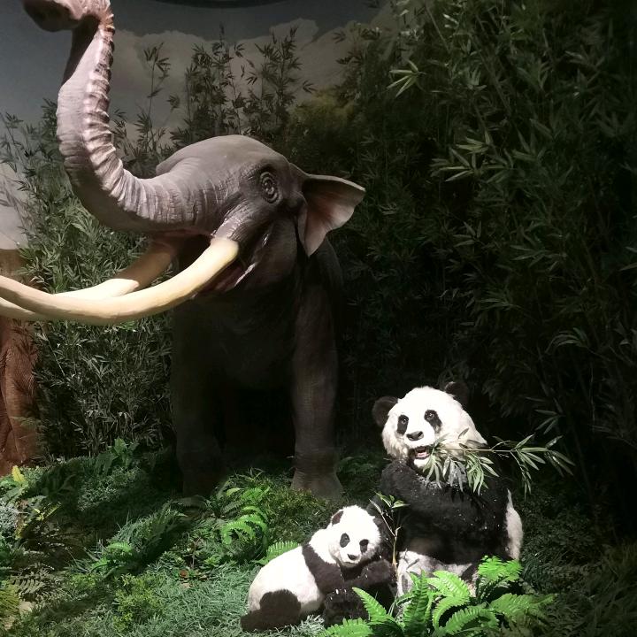 小鬼狐妖