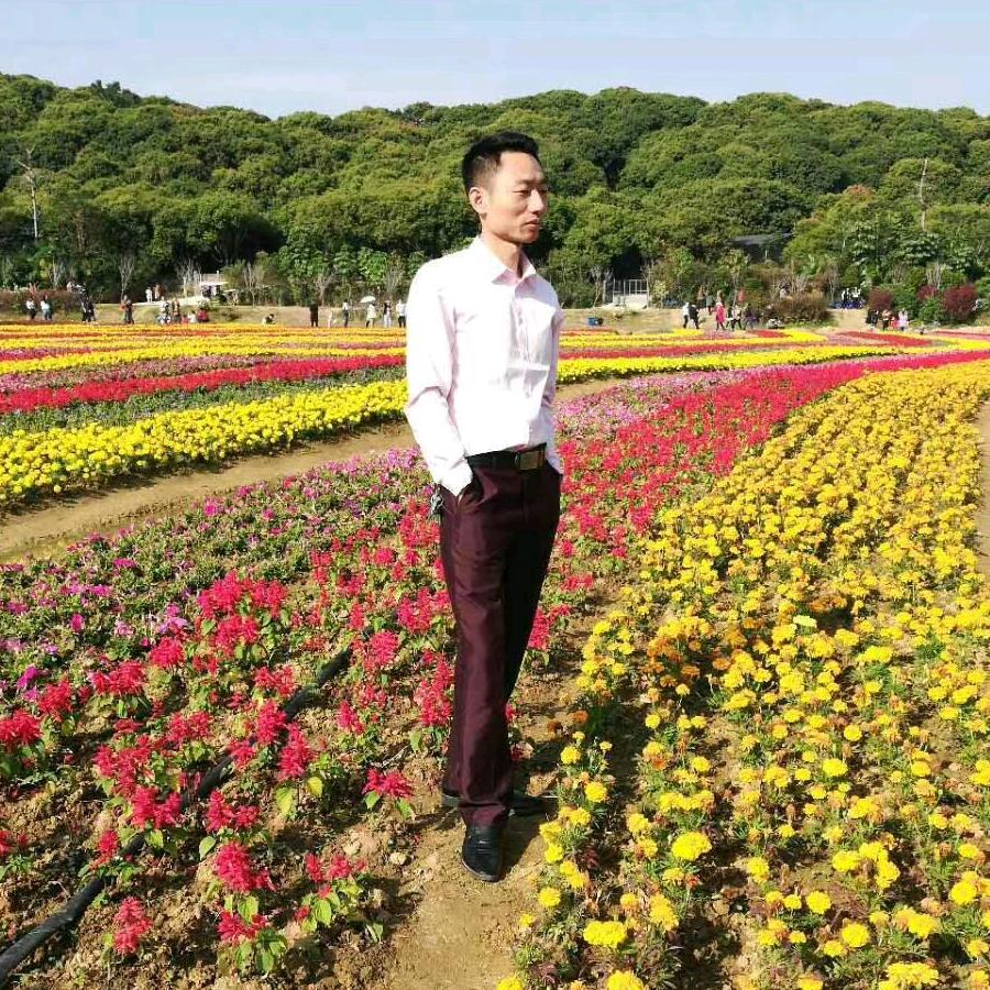 寻梦