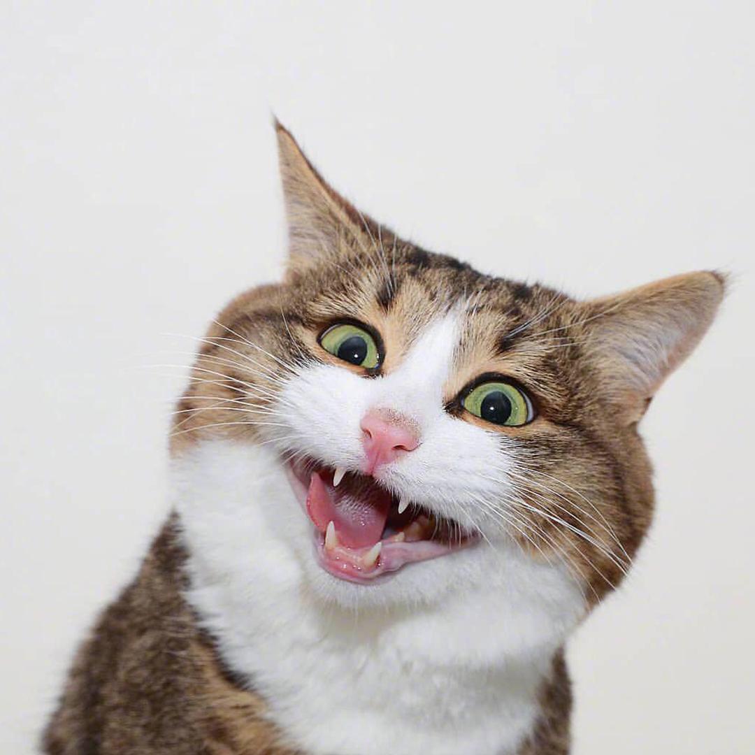 🎼唯爾傾星💫