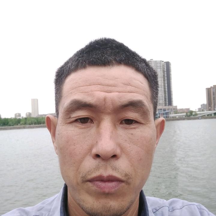 阳光再杨光
