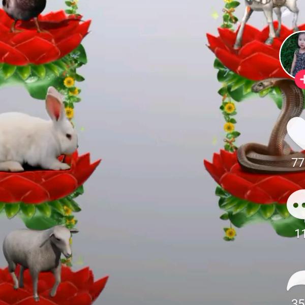 米阳一米阳光