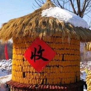 岁月宝歌
