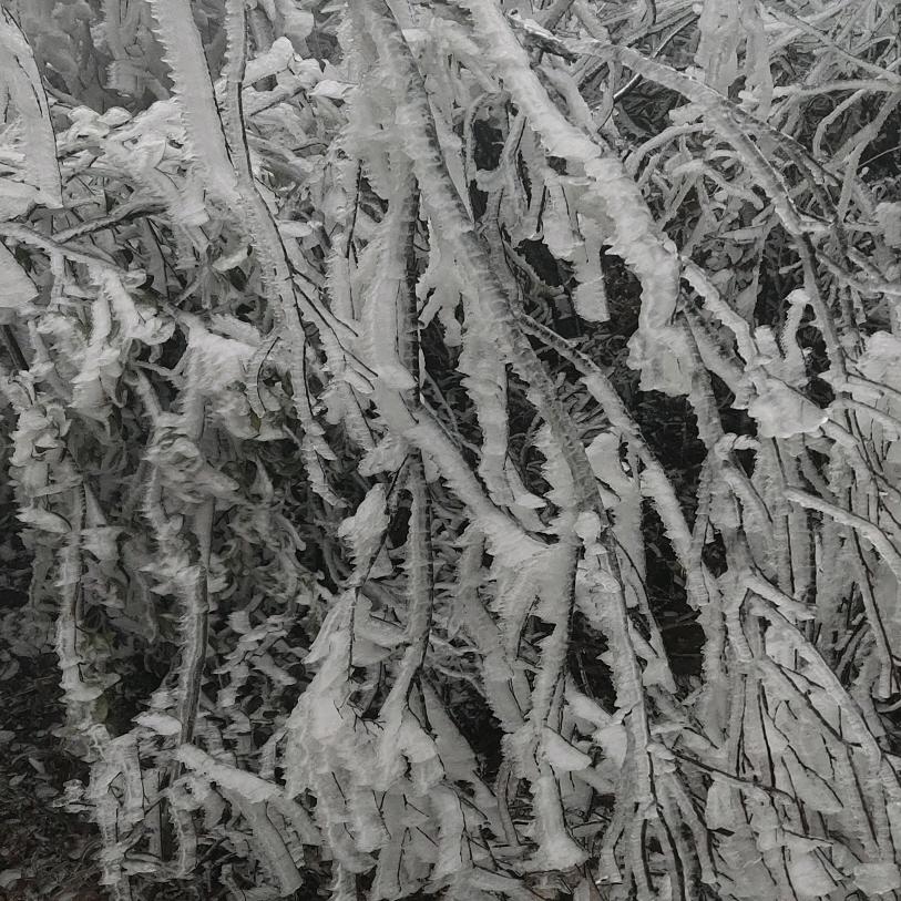 吳法黎开“￥”