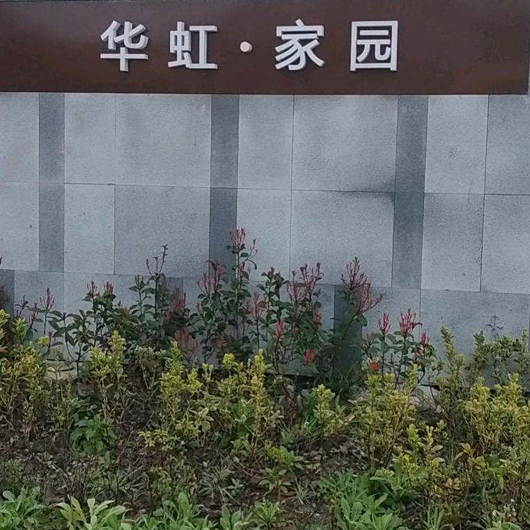 我爱我