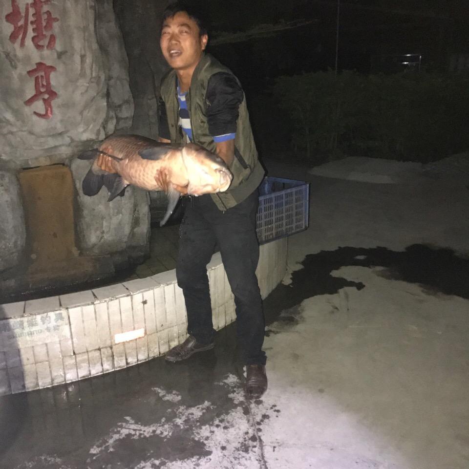 江河巨物探钓人老黑渔