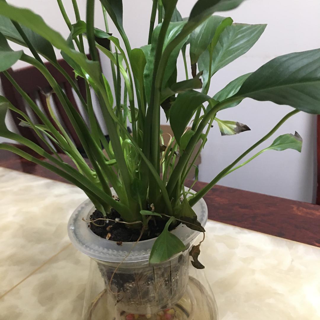 走自己的路让别人无路可走