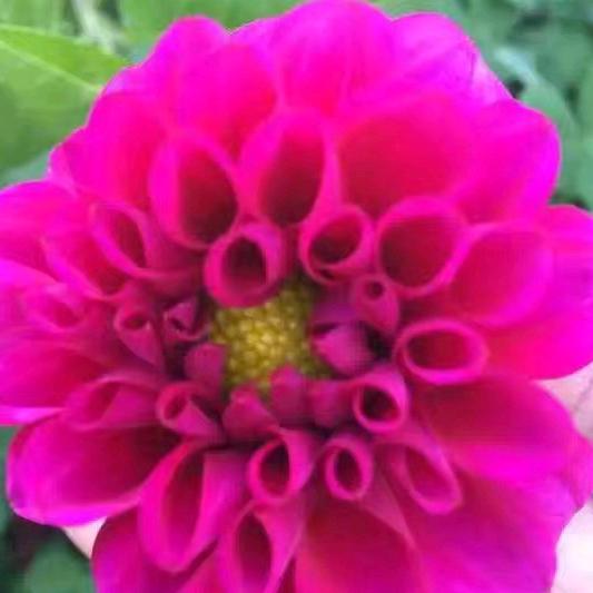 1  ♥  3  ♥  7  ♥ 6