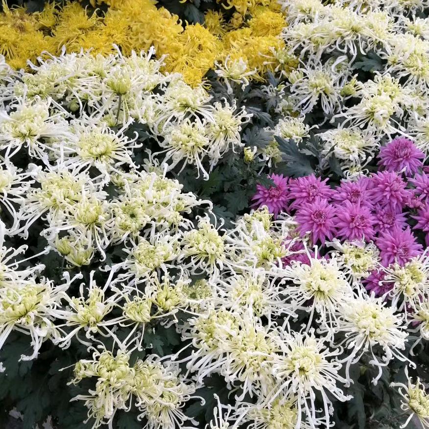 周爱荣，本人异性不认识拒绝私聊