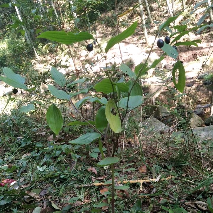 我待世界如初恋