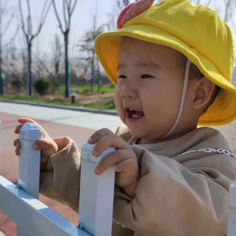 南风知我意(●'◡'●)