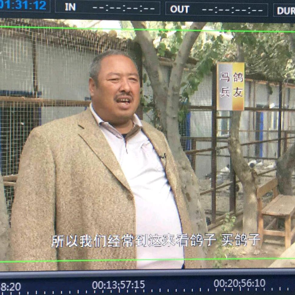 飞马