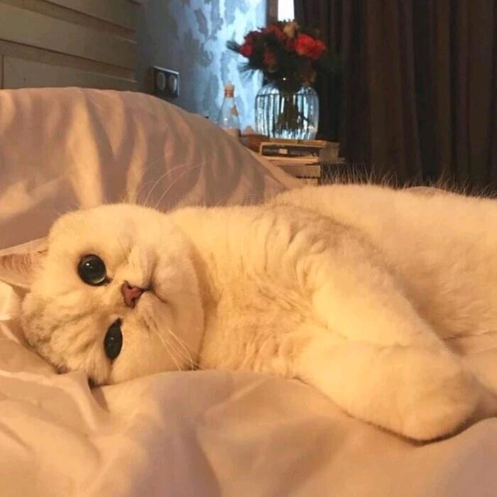 漩涡