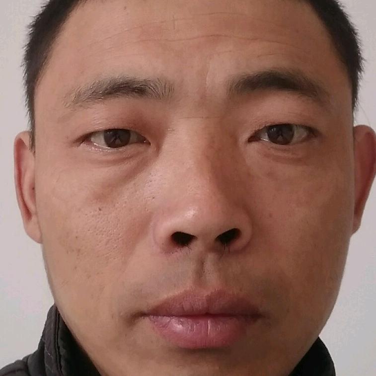 老样子