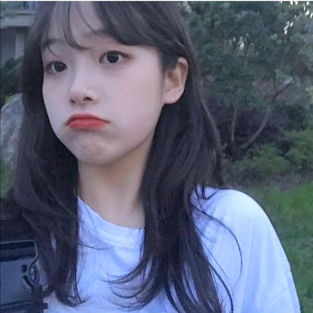 许桉