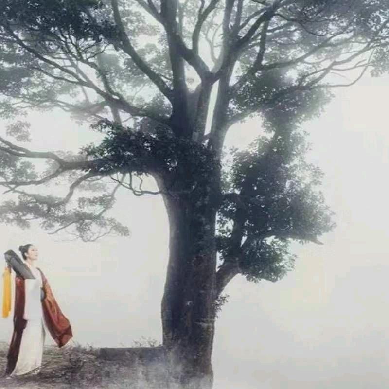 望穿秋水