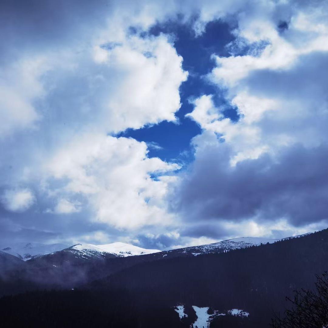 吴彦祖之陆良分组