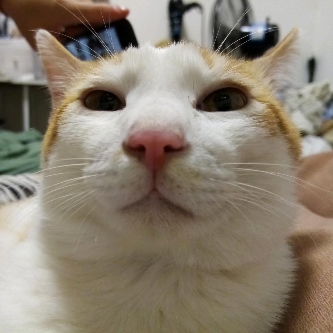 又是做饭的一天