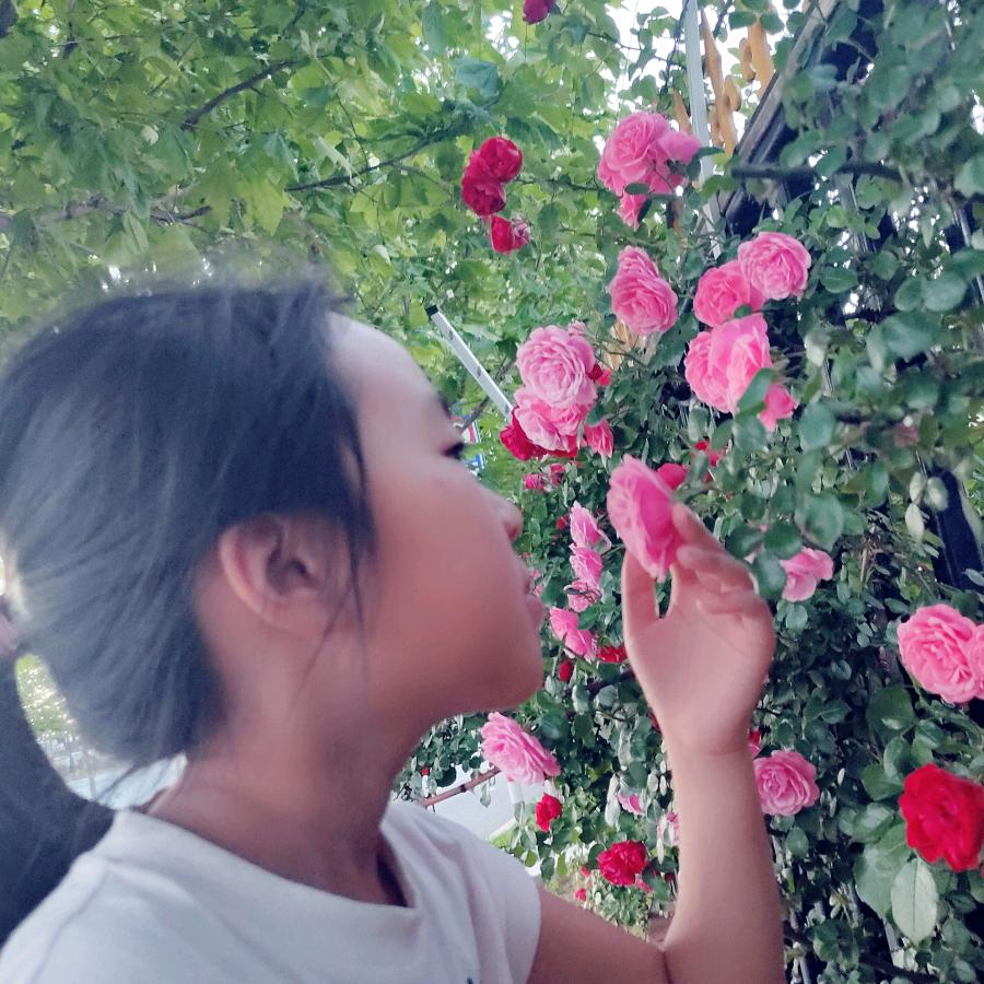 草莓小丸子🍓