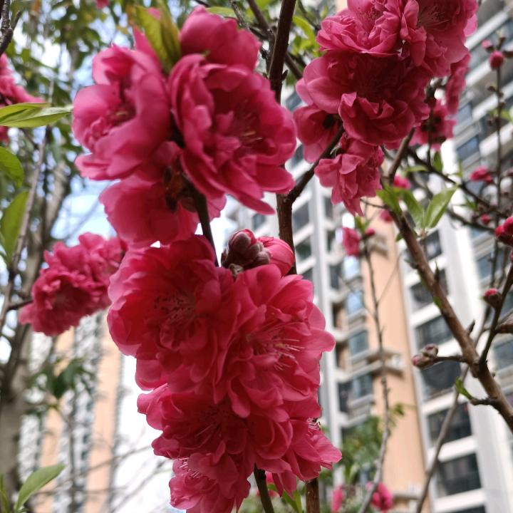 梦～