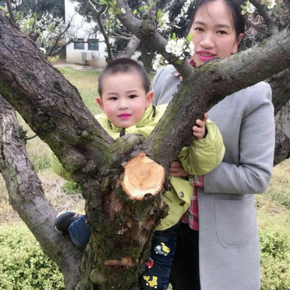 幸福花儿