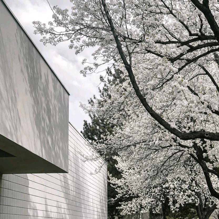 三角洲行动-无忧