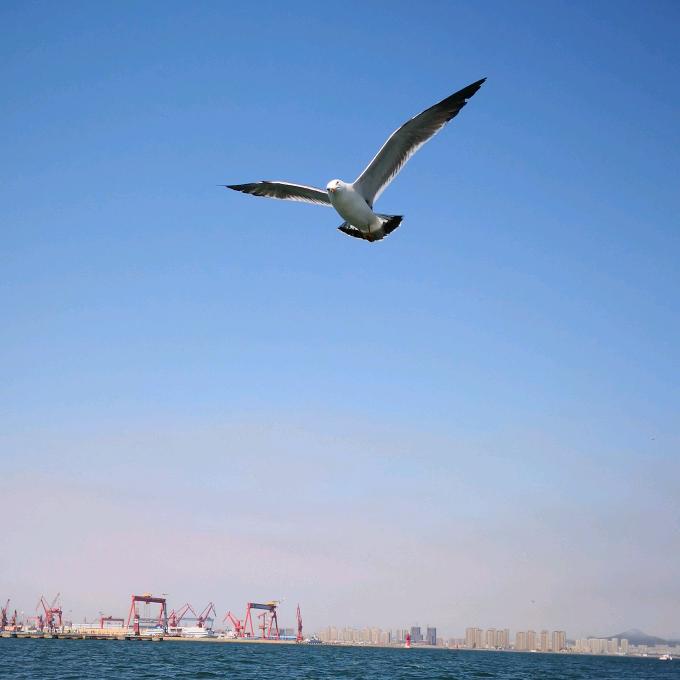 海泉（师承一手天我）