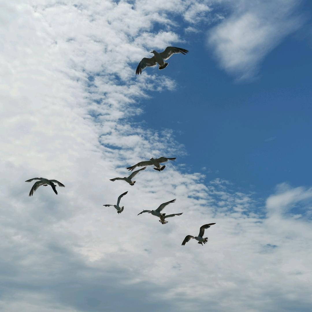 看海