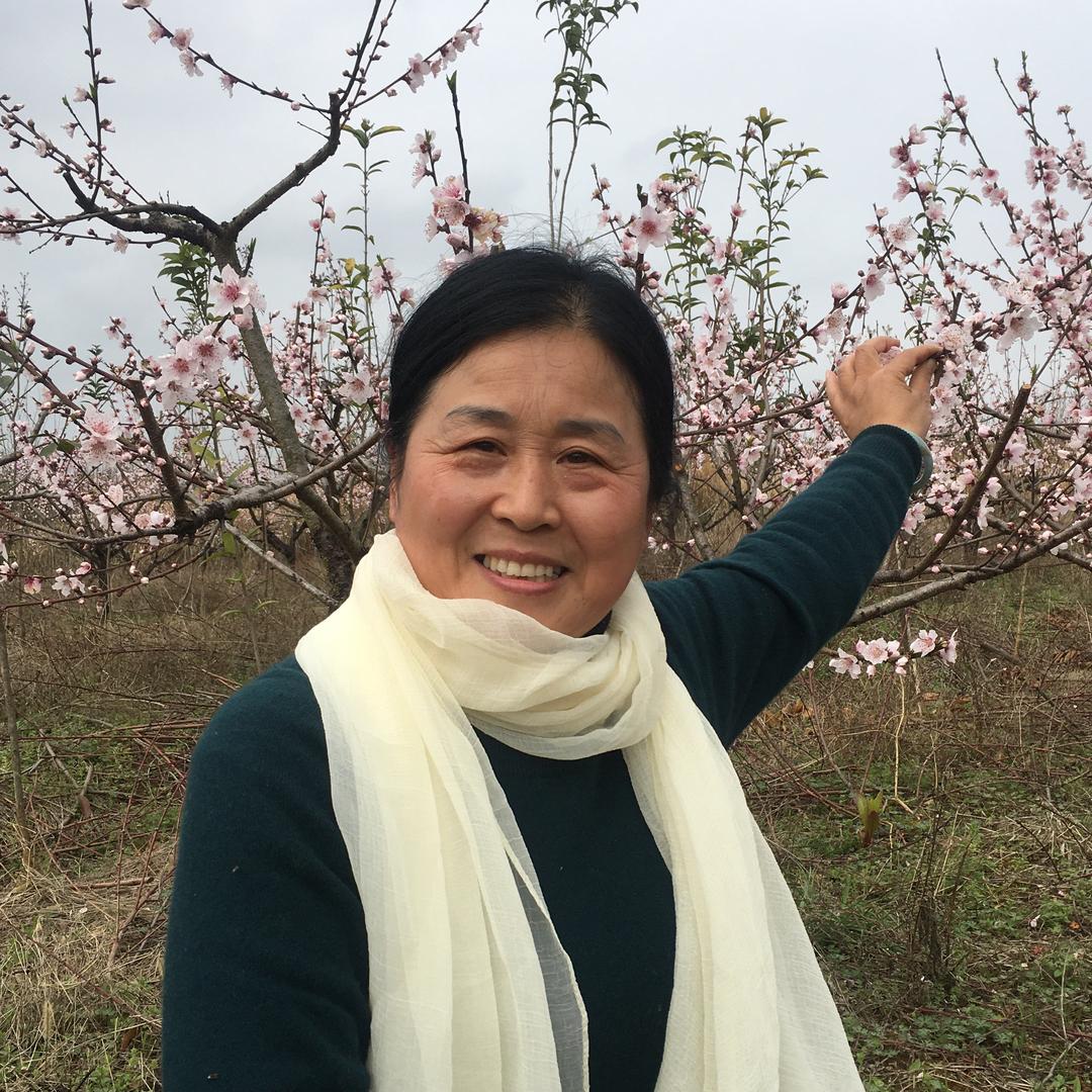 何丽萍