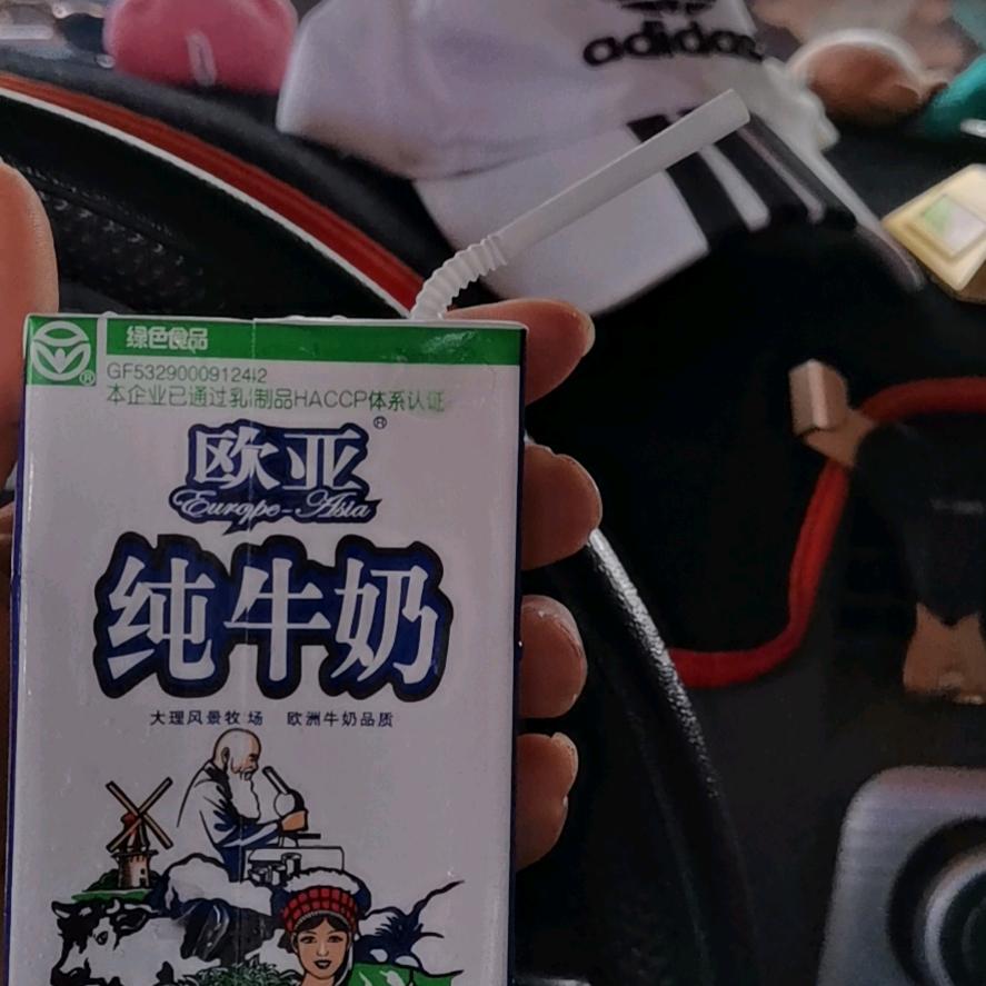 云南—广西—广东—广西—云南