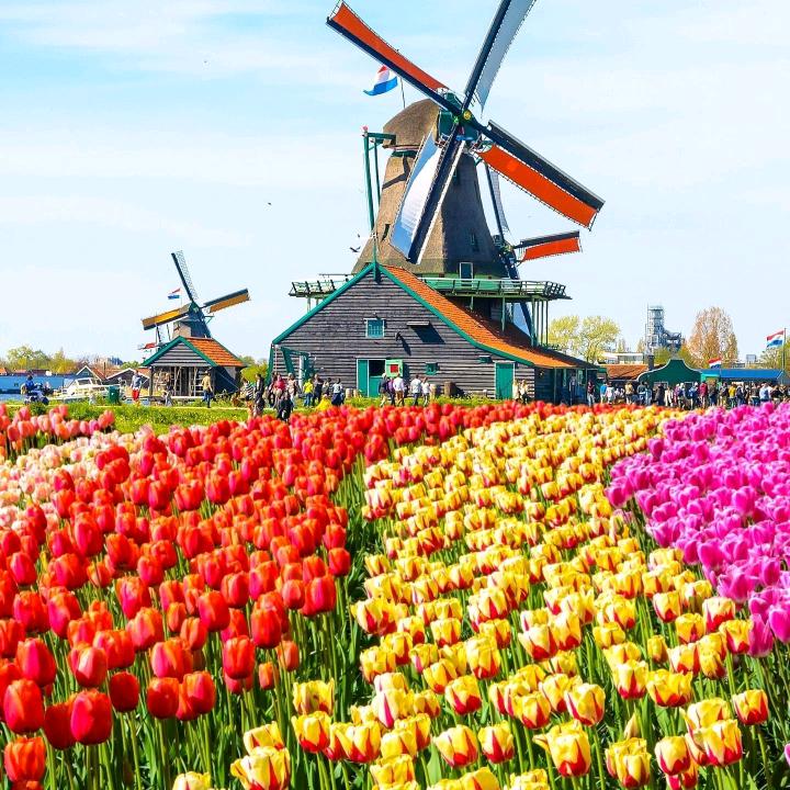 幸福的奶奶学习