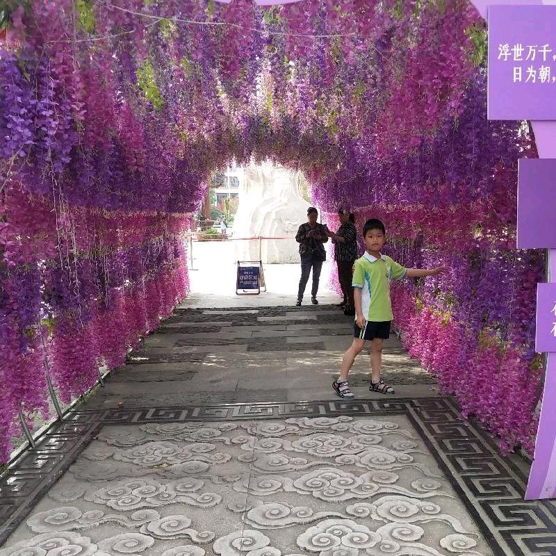 喜欢魔鳉的柳清香头像