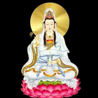 人生规划