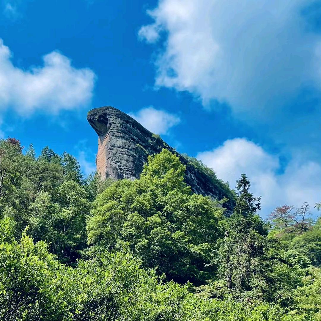 道听途说