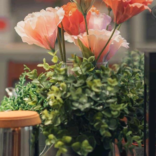 一个人好好过自己的生活