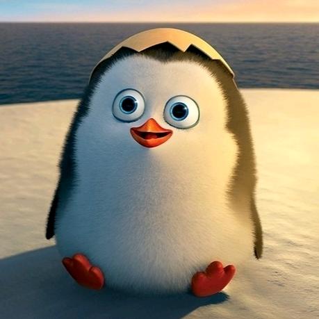 🌈企鹅