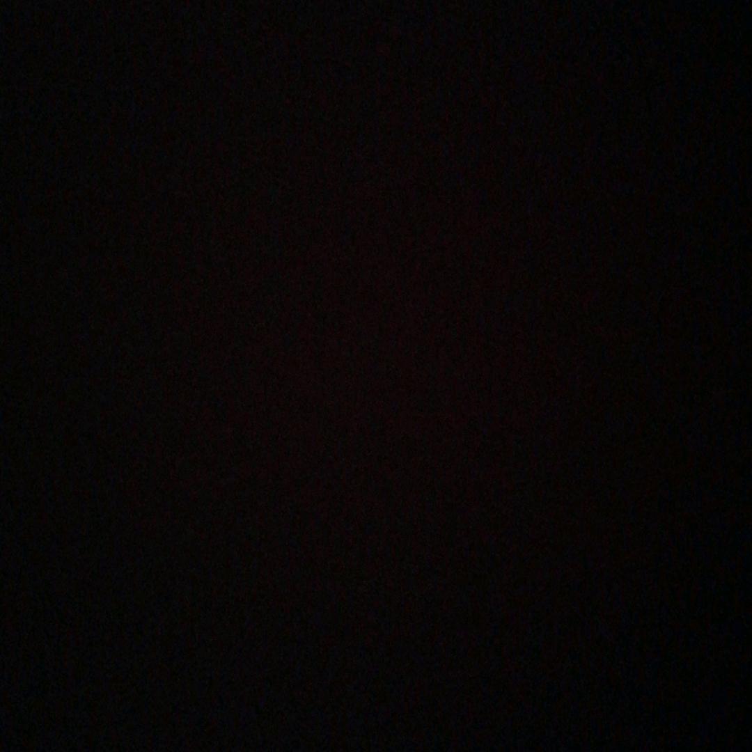 醉看人生