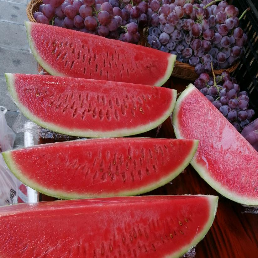 专注精品西瓜🍉