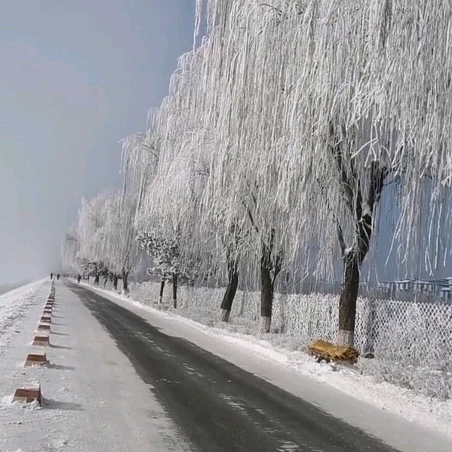 流水无情tye