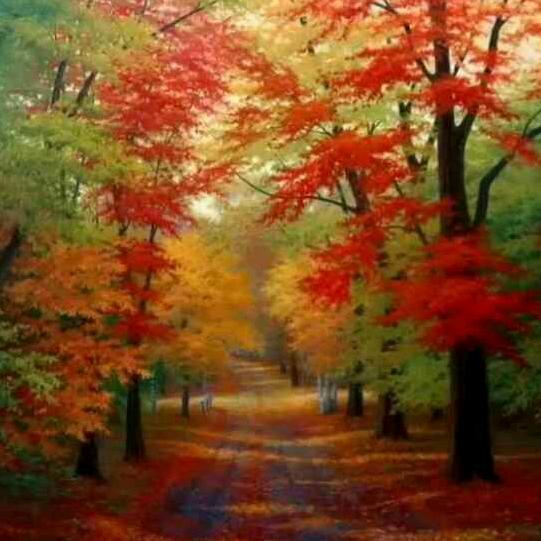 用户开心每一天