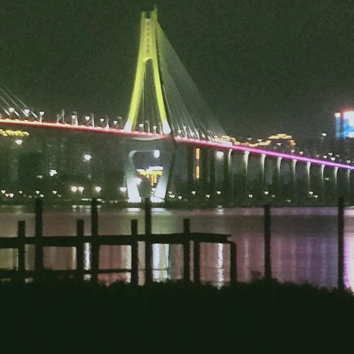 丁香花