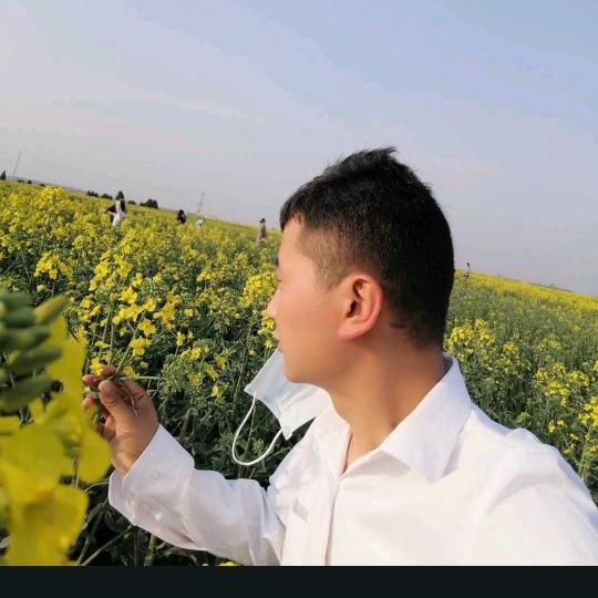 张毓琦