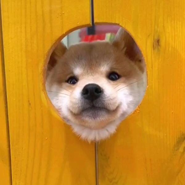 人