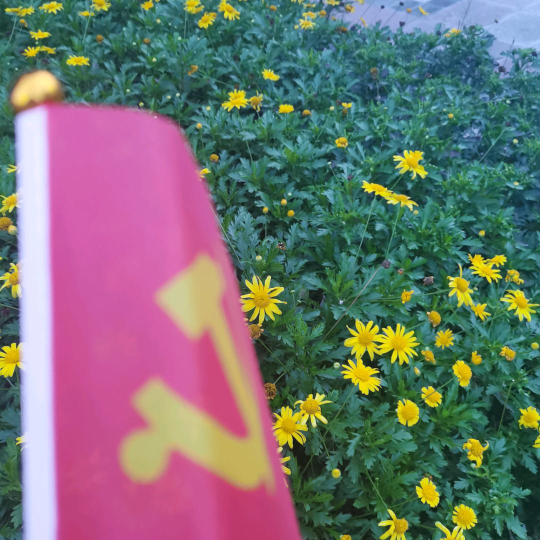 伟一号