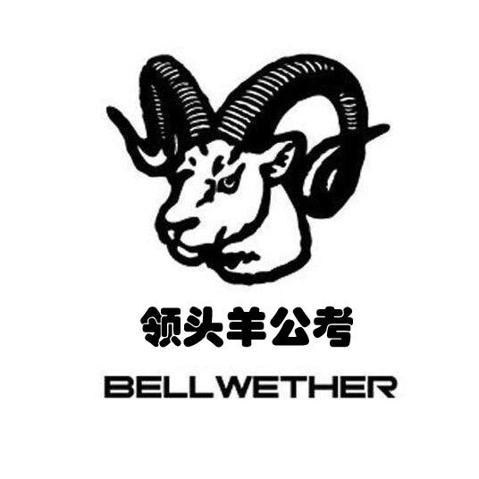 领头羊公考